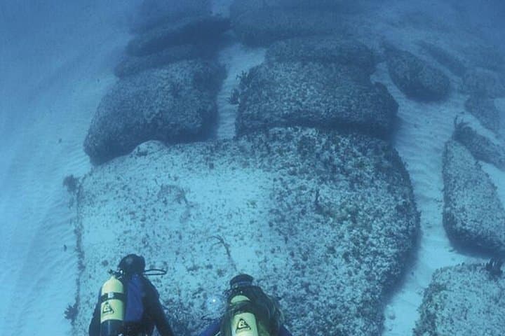 Clear-Boat Tour to Bimini Road: See Sea Turtles, Rainbow Reef & Atlantis Ruins photo 3