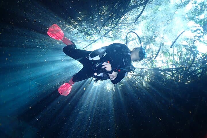 Discover Scuba Diving at Casa Cenote, Tulum — Beginner-Friendly Cenote Dive photo 4