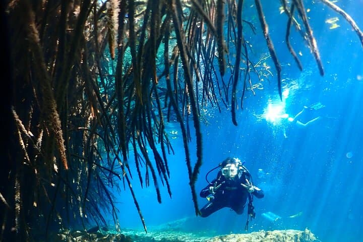 Discover Scuba Diving at Casa Cenote, Tulum — Beginner-Friendly Cenote Dive