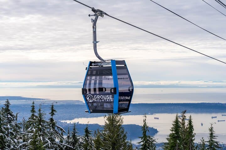 Grouse Mountain and Capilano Suspension Bridge Half-Day Tour — Vancouver’s Coastal Rainforest Experience photo 2