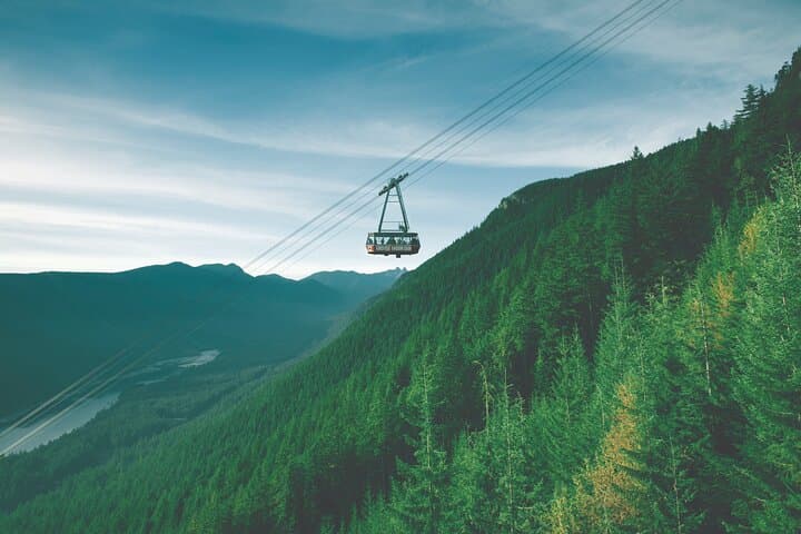 Grouse Mountain and Capilano Suspension Bridge Half-Day Tour — Vancouver’s Coastal Rainforest Experience photo 5