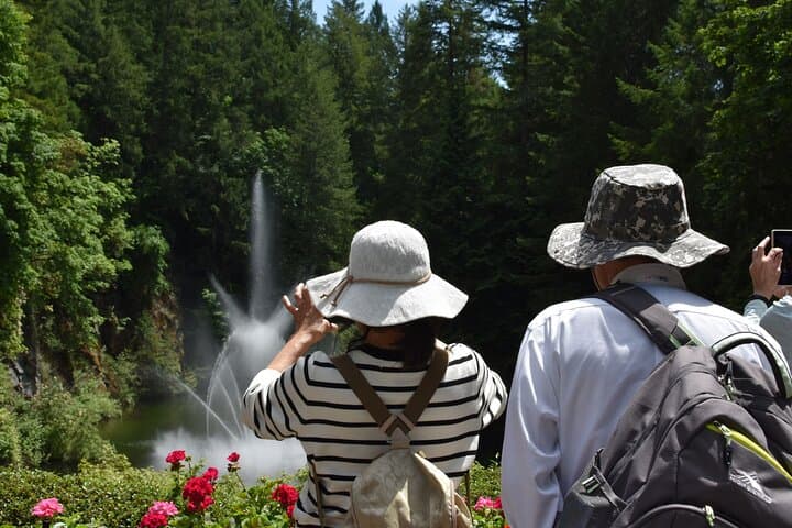 Vancouver to Victoria Day Tour — Ferry Crossing, Butchart Gardens & Inner Harbour photo 3