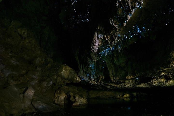 Kawiti Family Glowworm Caves Guided Tour — Māori-Led Bay of Islands Glowworm Experience