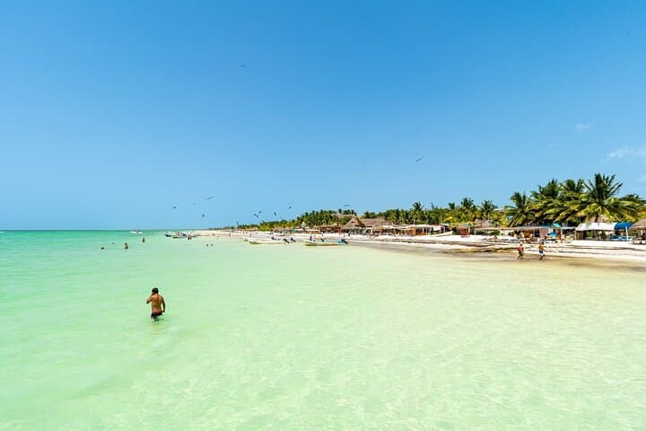 Holbox Island Day Trip: Punta Mosquito & Yalahau Lagoon from Playa del Carmen photo 3