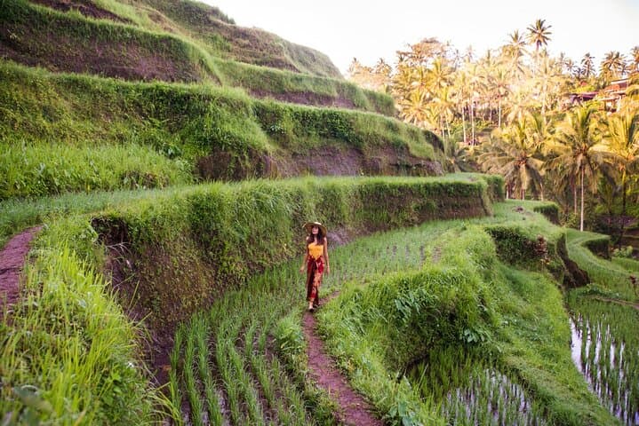 Full-Day Ubud ATV Adventure: Tegalalang Terraces & Tirta Empul Purification photo 6