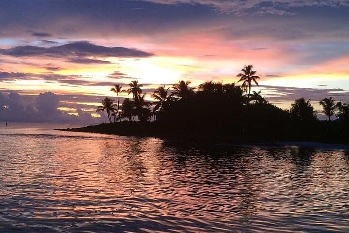 2-Hour Ten Thousand Islands Wildlife Adventure from Naples — Dolphins, Ospreys & Mangroves photo 3