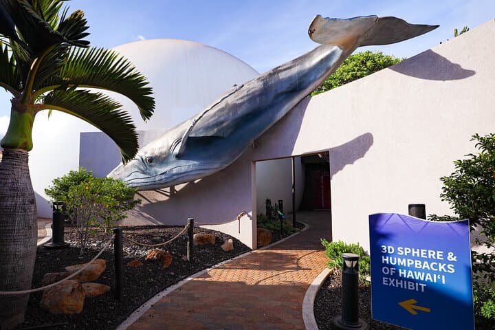 Mele: The Hawaiian Music Experience at the Maui Sphere — Live Hawaiian Music and 360° Visuals photo 6