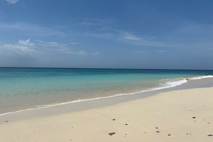 Snorkel with Turtles: Island Escape from Panama City