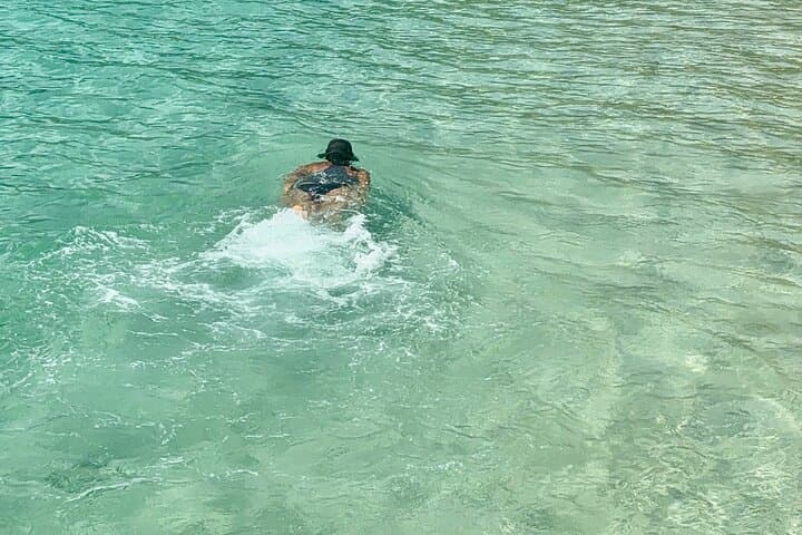 Snorkel with Turtles: Island Escape from Panama City photo 2