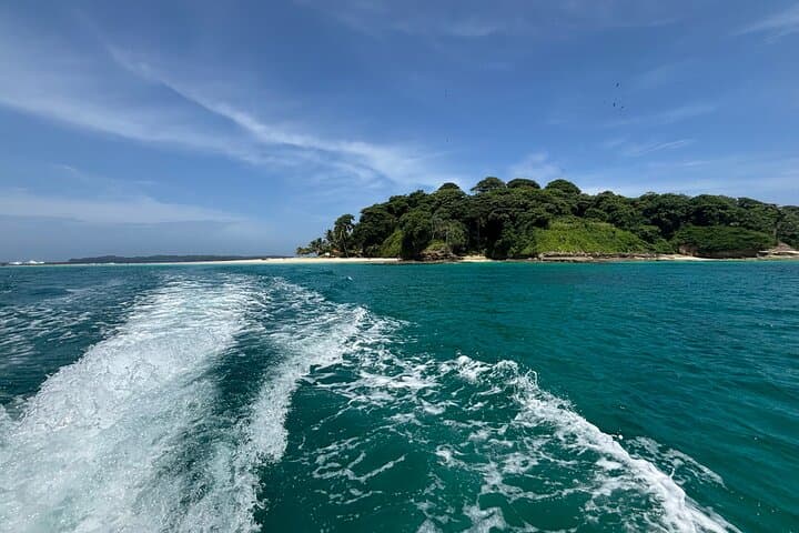 Snorkel with Turtles: Island Escape from Panama City photo 5