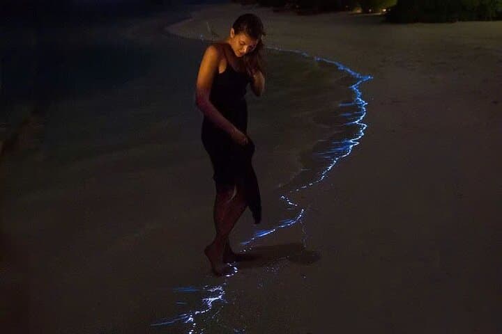 Sunset Kayak & Bioluminescent Night Paddle in Lan Ha Bay, Cat Ba