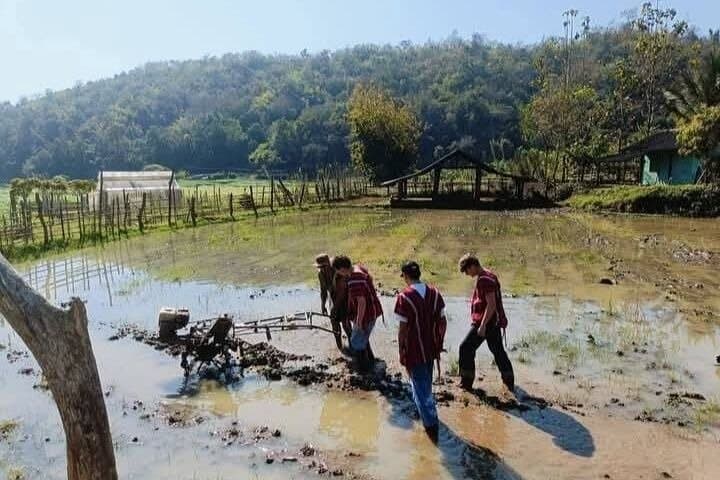 Chiang Mai Half-Day Rice Planting Experience Near Mae Win photo 6