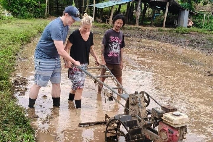Chiang Mai Half-Day Rice Planting Experience Near Mae Win photo 5