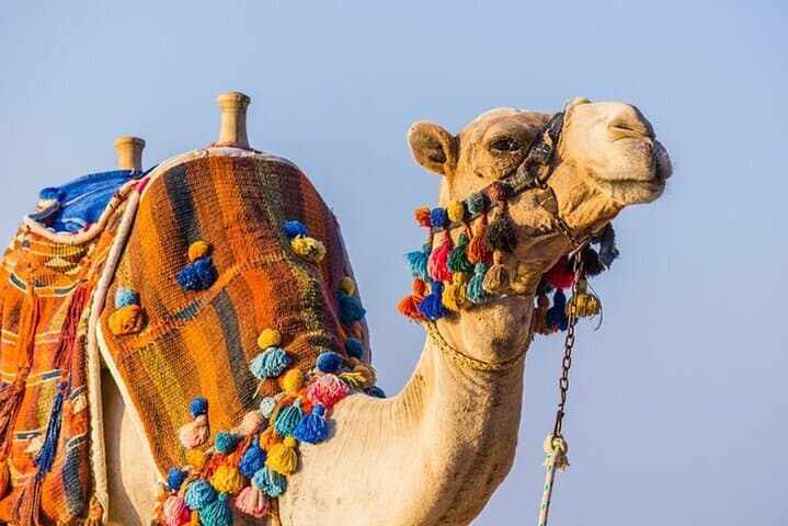 Hurghada Desert Safari: Quad, Dune Buggy, Camel & Bedouin BBQ Experience photo 3