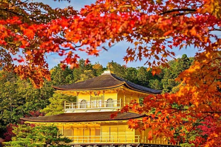 Kyoto & Nara in a Day: Torii Gates, Temples, and Friendly Deer