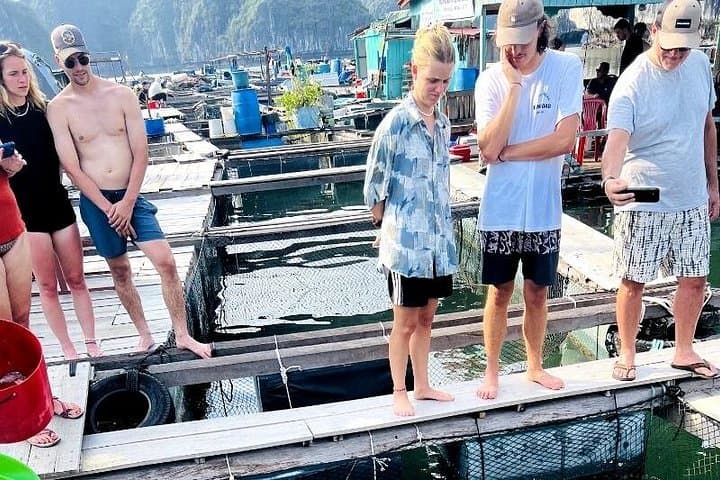 3-Day Lan Ha Bay Cruise: Kayaking, Bioluminescent Night & Viet Hai Village photo 3