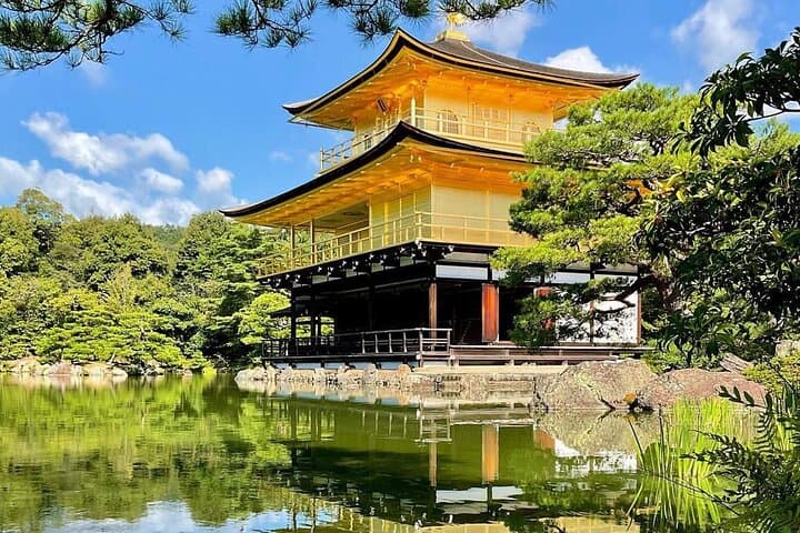 One-Day Kyoto & Nara: Arashiyama Bamboo, Fushimi Inari & Nara Park photo 5