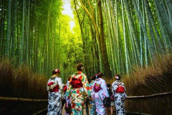 One-Day Kyoto & Nara: Arashiyama Bamboo, Fushimi Inari & Nara Park photo 6