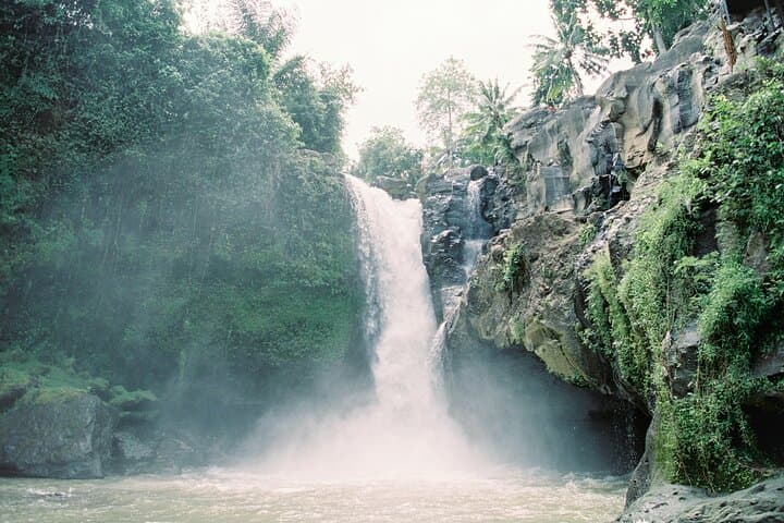 Ubud Private Day Tour: Temples, Rice Terraces & Monkey Forest photo 2