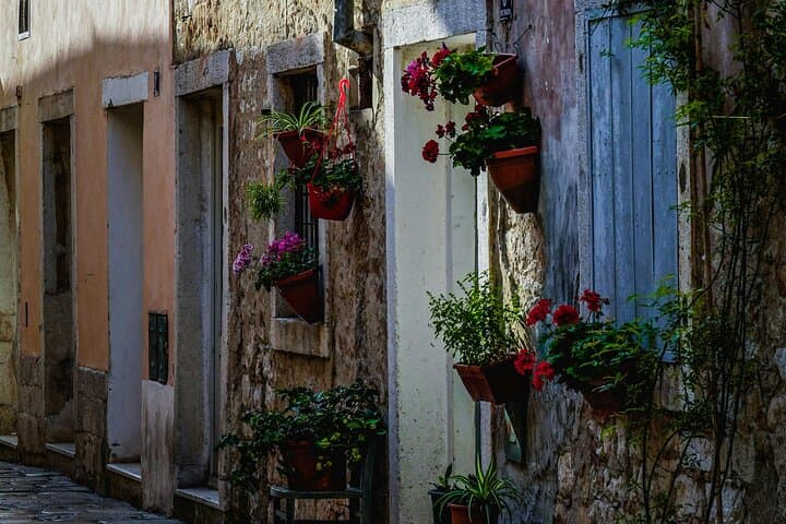 3-Day Private Istrian Peninsula Tour: Rovinj, Pula & Truffle Hilltowns photo 4
