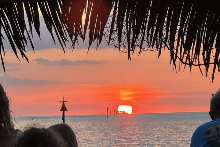 Clearwater Beach Tiki Getaway Cruise BYOB — Dolphin & Sunset BYOB Tour photo 2