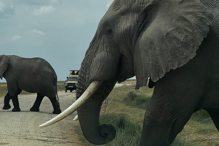 Private 3-Day Maasai Mara Safari — Luxury Camp, 4x4 Game Drives & Maasai Village
