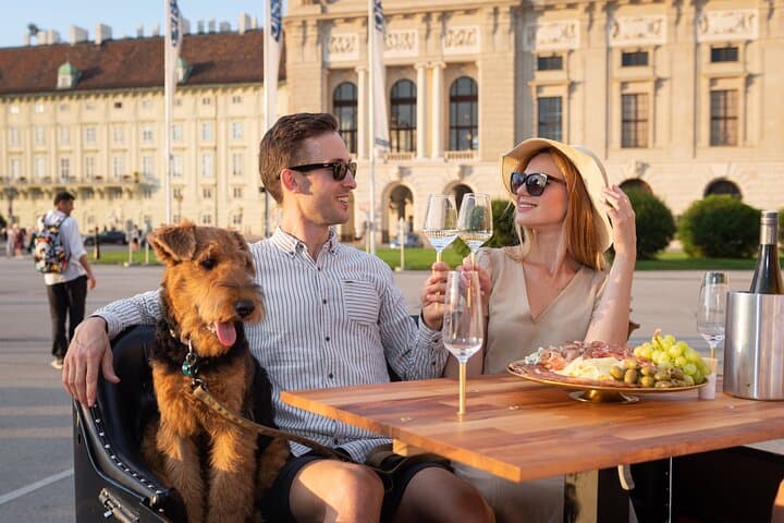 Vienna Wine Tasting in a Classic Oldtimer: Grüner Veltliner, Riesling & Zweigelt