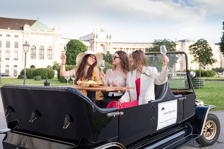 Vienna Wine Tasting in a Classic Oldtimer: Grüner Veltliner, Riesling & Zweigelt photo 5