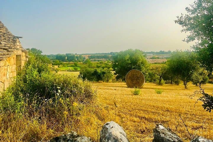 Trulli Running Tour in Alberobello: Sunrise Fitness Coaching through Valle d'Itria photo 4
