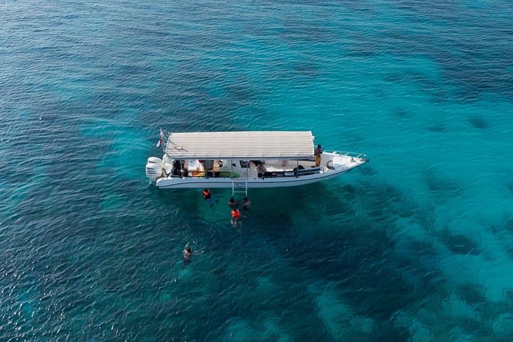 Daymaniyat Islands Snorkeling: Private Boat Trip from Al Seeb Marina photo 4
