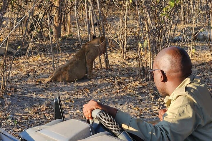 Zambezi National Park 3-Hour Game Drive from Victoria Falls photo 2