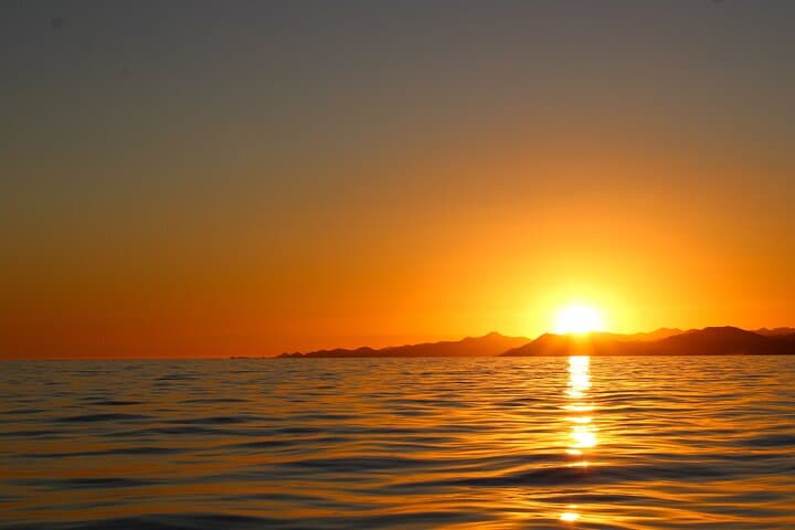 Cabo Sunset Cruise: Open Bar Evening on the Sea of Cortez photo 4