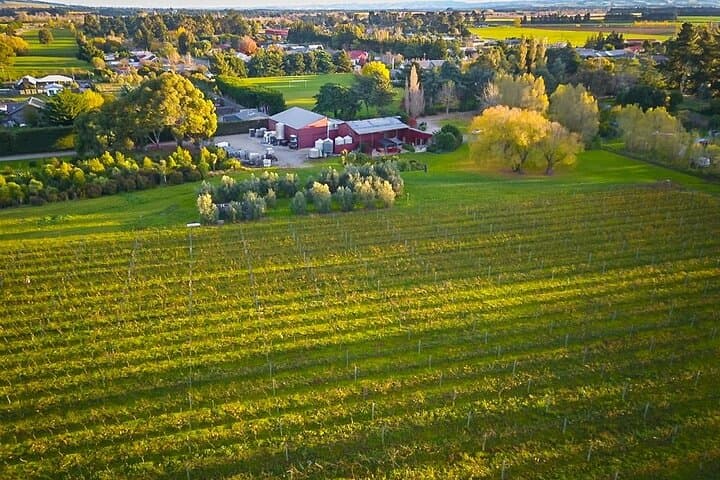Waipara Valley Winery Tour: Wine Tastings & Scenic Views from Christchurch photo 6
