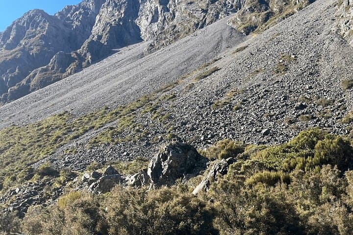 Arthur Pass & Castle Hill: Full-Day Nature Tour from Christchurch photo 3
