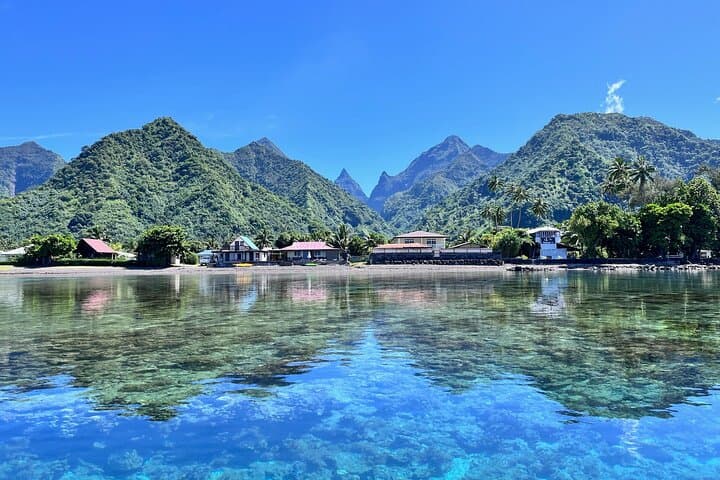 Humpback Whale Watching — West Coast of Tahiti Peninsula photo 2