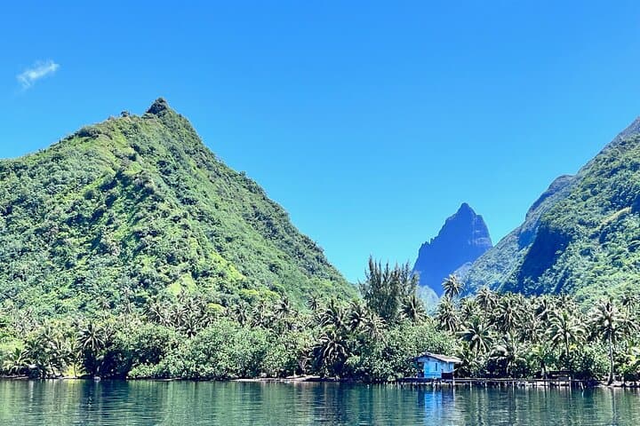 Humpback Whale Watching — West Coast of Tahiti Peninsula photo 4