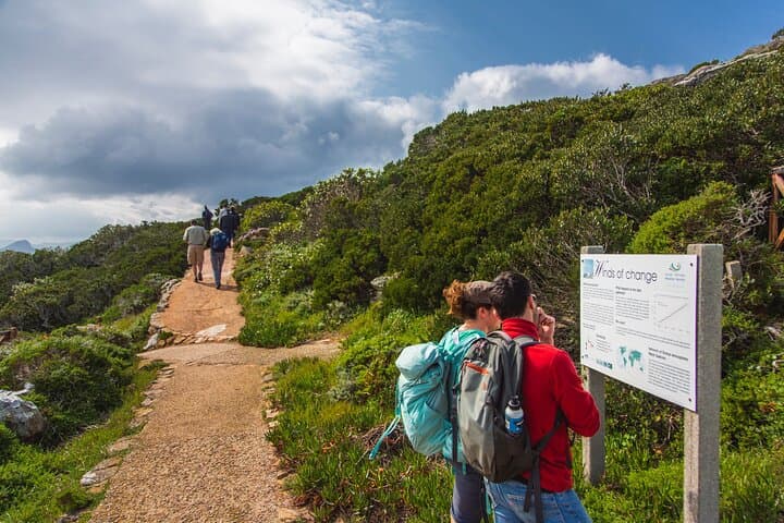 Cape Town to Kruger: 8-Day Fly-In Safari from Table Mountain to Big Five photo 3