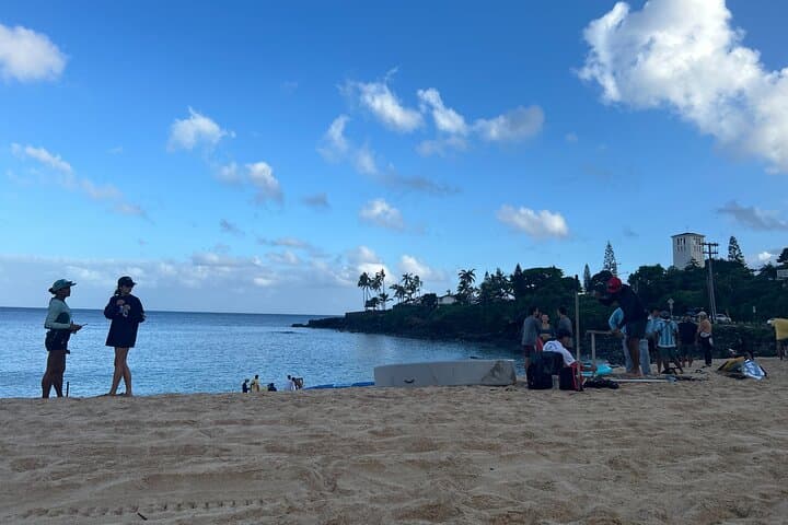 Escape Waikīkī to Oahu's North Shore: Dole Whip, Turtles & Local Eats photo 3