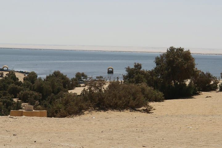 White Desert and Bahariya Oasis Day Safari from Cairo — 4x4 Jeep Tour photo 2