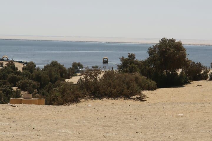 El Fayoum Oasis Day Tour: Wadi El Rayan Waterfalls & Wadi El Hitan Fossils from Cairo photo 1