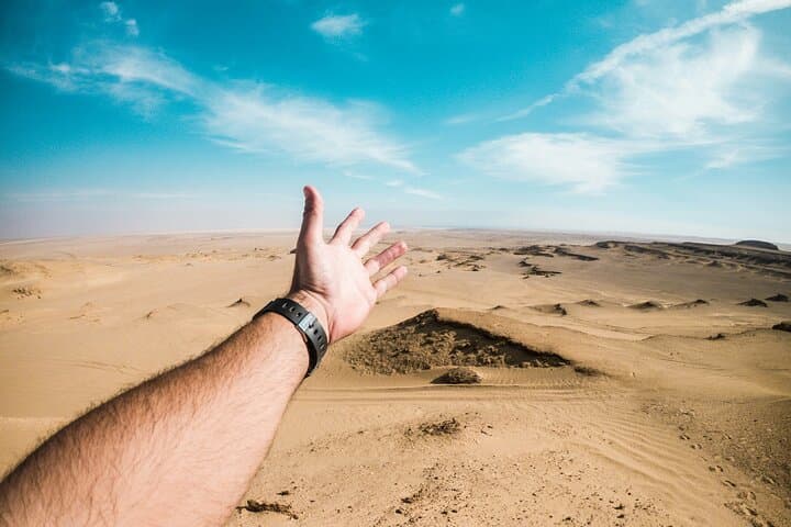 El Fayoum Oasis Day Tour: Wadi El Rayan Waterfalls & Wadi El Hitan Fossils from Cairo photo 2