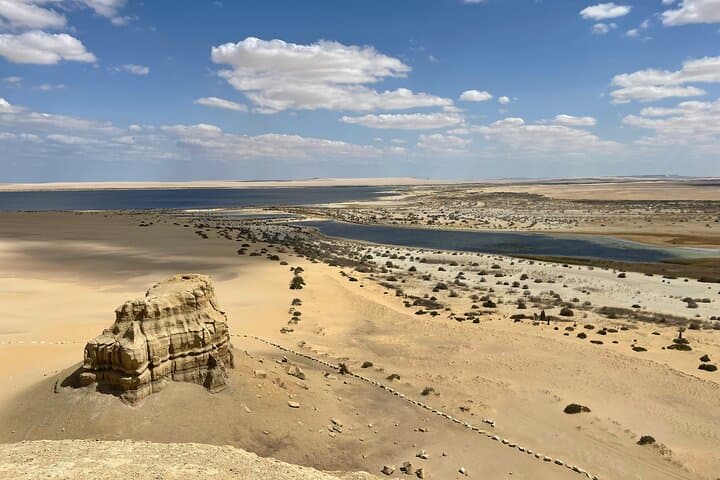 El Fayoum Oasis Day Tour: Wadi El Rayan Waterfalls & Wadi El Hitan Fossils from Cairo photo 3