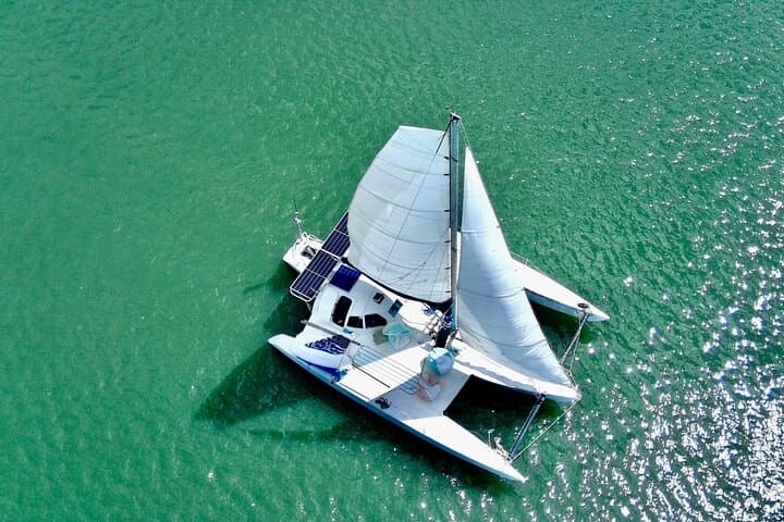 Savannah Coastal Trimaran Cruise: Two-Hour Dolphin & Lowcountry Sailing Experience