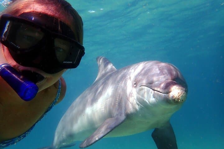 Shell Island 3-Hour Private Boat Tour — Snorkeling & Dolphin Watch photo 2
