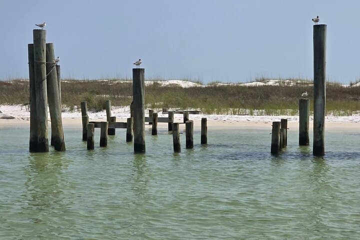 Shell Island 3-Hour Private Boat Tour — Snorkeling & Dolphin Watch photo 3