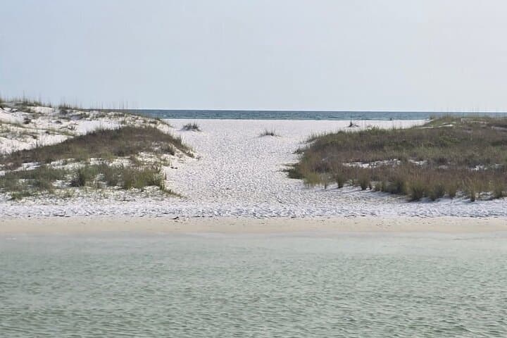 Shell Island 3-Hour Private Boat Tour — Snorkeling & Dolphin Watch photo 4
