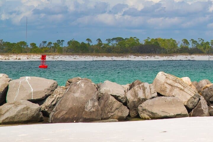 Shell Island 3-Hour Private Boat Tour — Snorkeling & Dolphin Watch photo 6