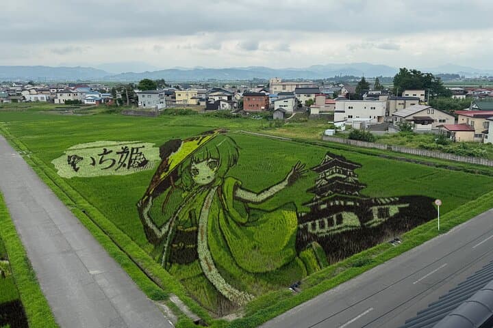 Hirosaki Rice Paddy Art & Apple Picking: Full-Day Private Tour in Aomori photo 4