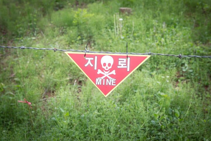 Ultimate 2-Day Korea Escapade: DMZ Tour & Seoul City Highlights photo 3