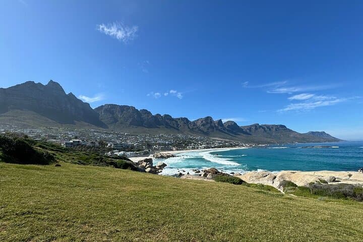 Cape Peninsula Full-Day Tour: Penguins, Cape Point & Chapman’s Peak Scenic Drive photo 4